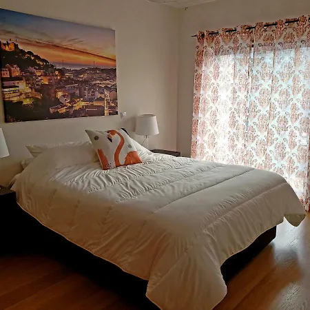 Ocean View Appartement
